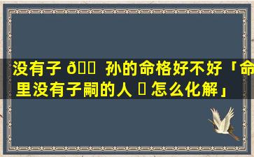 没有子 🐠 孙的命格好不好「命里没有子嗣的人 ☘ 怎么化解」